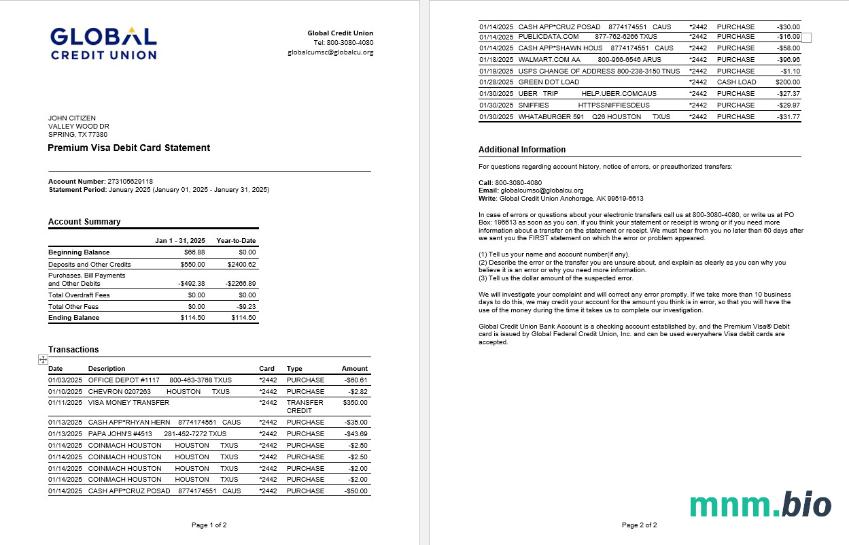 USA ADP business corporate earnings statement template w formacie Word i PDF format